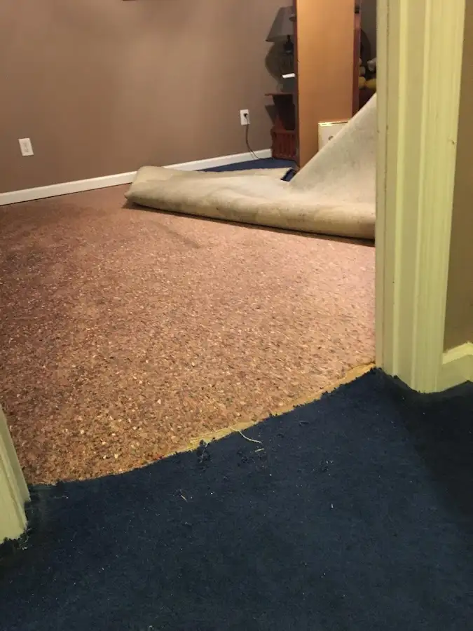 Carpet pad removal revealing water damage during Drying & Dehumidification in Ridgeway