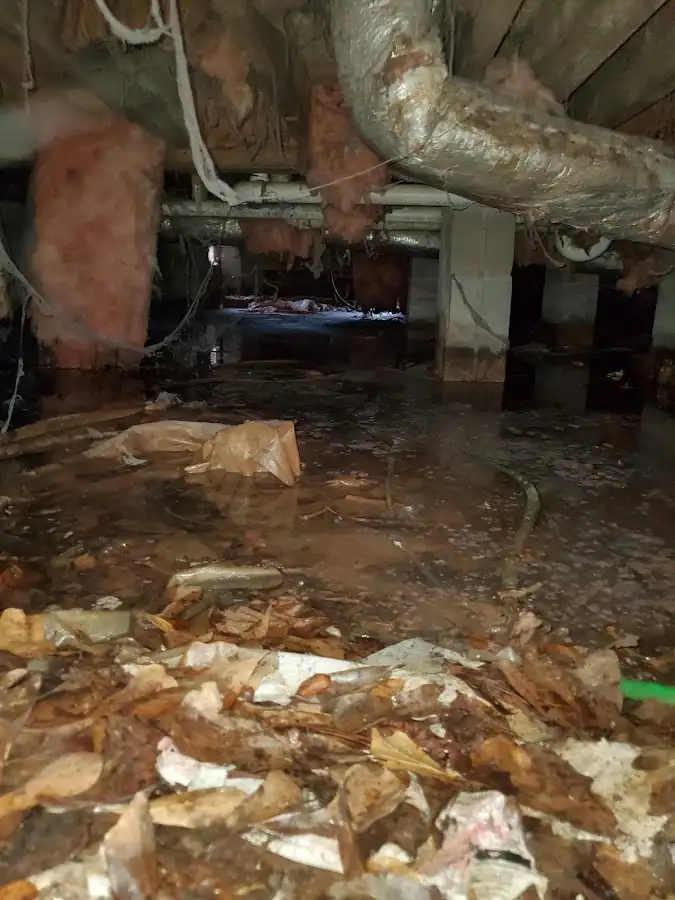 Crawl space flood assessment for Commercial Water Damage Restoration in Ridgeway