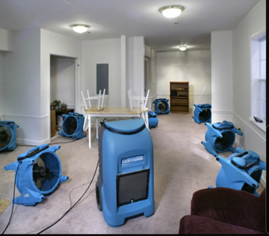 Air movers and dehumidifier setup for Water Extraction & Removal in Ridgeway